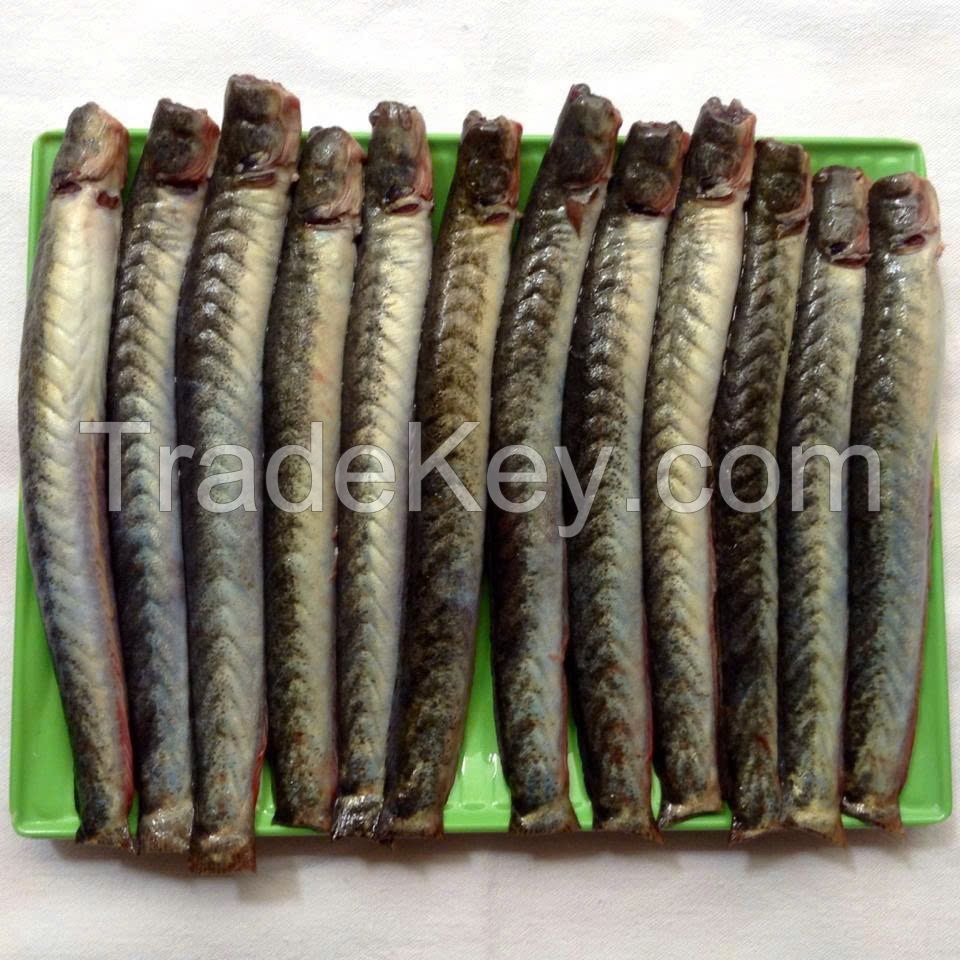 FROZEN GOBY FISH PREMIUM QUALITY SEAFOOD BULK WHOLESALE SUPPLY EXPORT PRODUCT HOT DEAL TOP SALES BEST PRICE