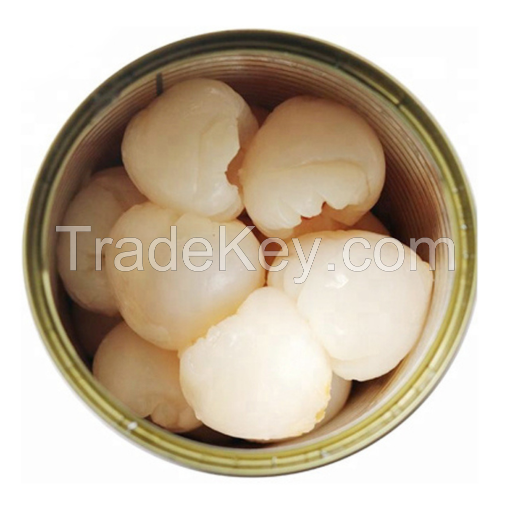 BEST SELLING VIETNAM CANNED LYCHEE CLEAN LABEL SWEET FRUIT EXPORT QUALITY