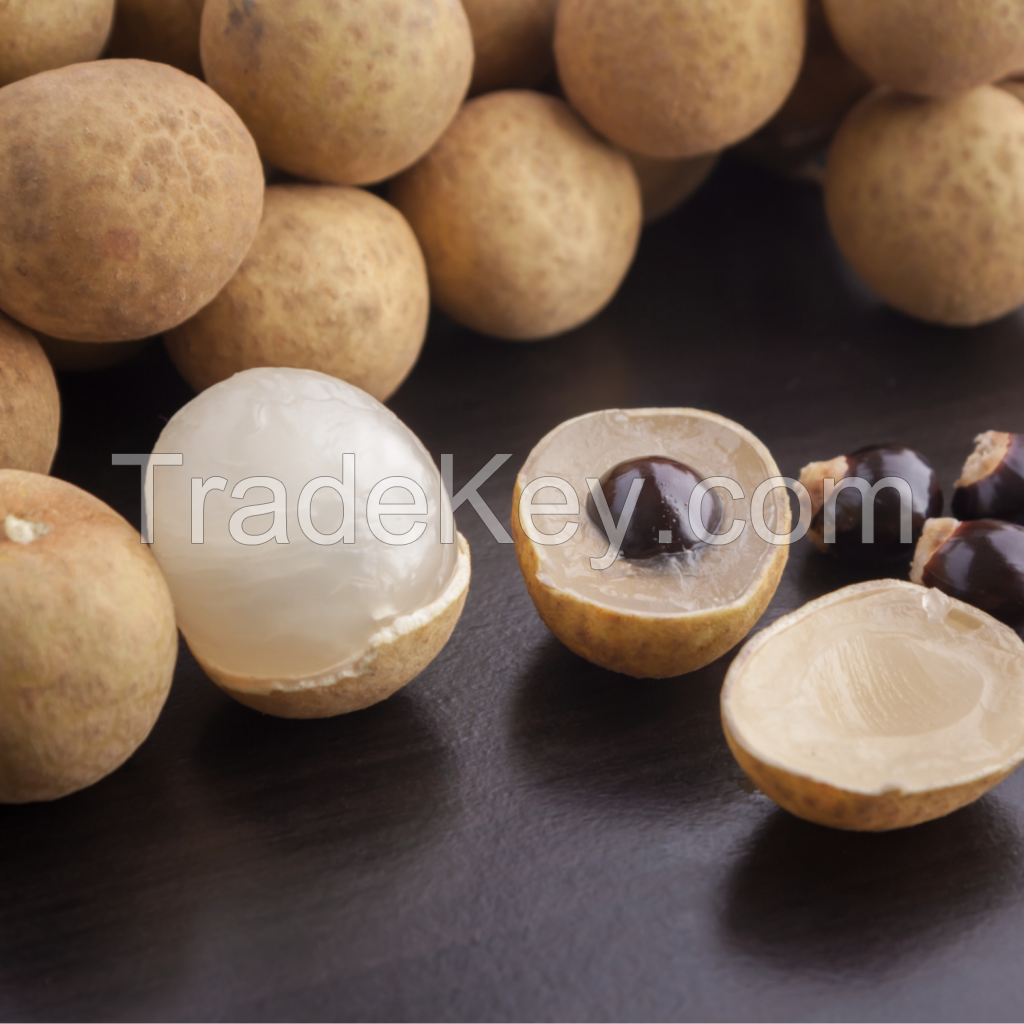 BEST SELLING VIETNAM CANNED LONGAN CLEAN LABEL SWEET TROPICAL FRUIT EXPORT QUALITY