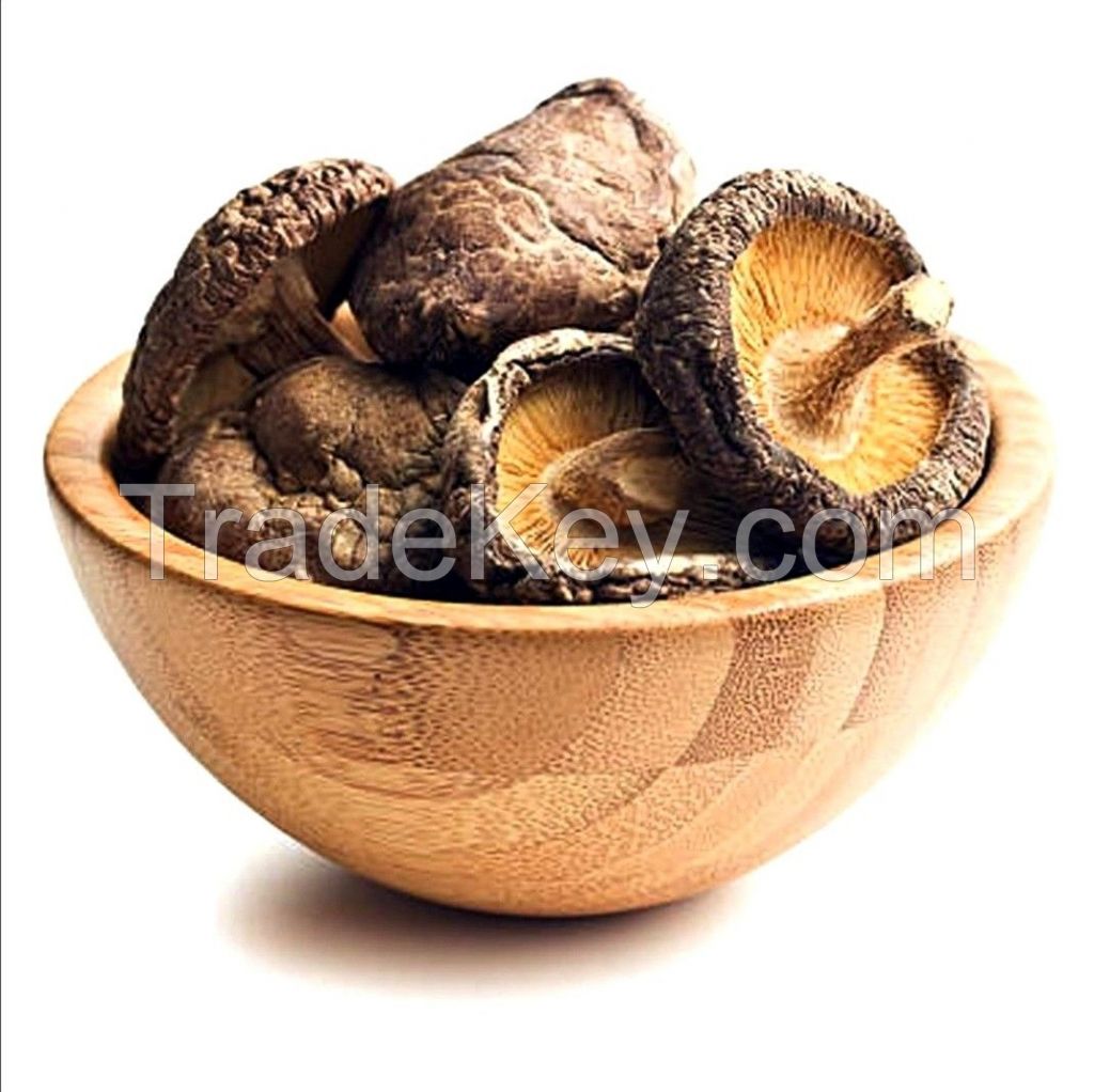 DRIED MUSHROOM STEMS FOR SOUP STOCK AND FOOD PROCESSING