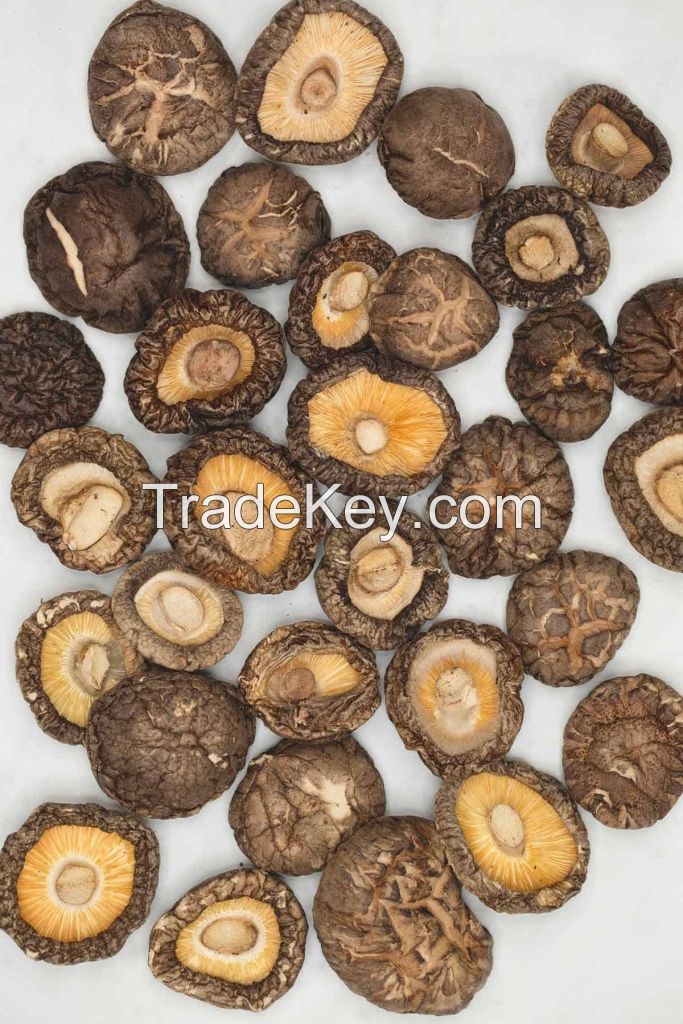 DRIED SHIITAKE MUSHROOM STEMS WHOLESALE SUPPLIER FROM VIETNAM