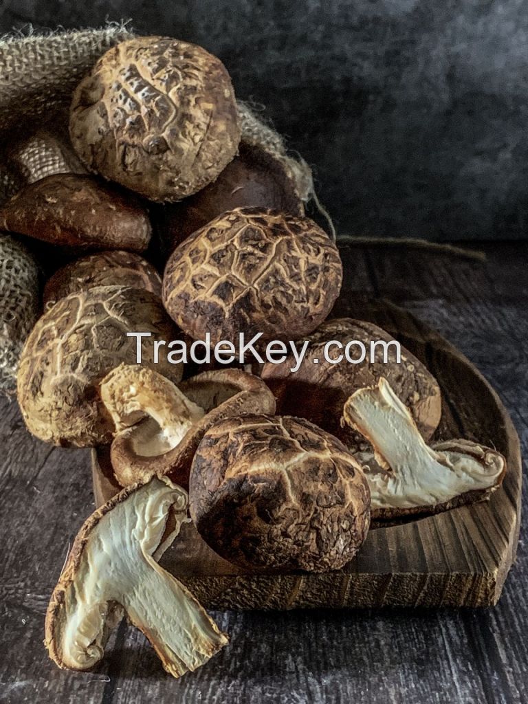 DRIED MUSHROOM STEMS FOR SOUP STOCK AND FOOD PROCESSING