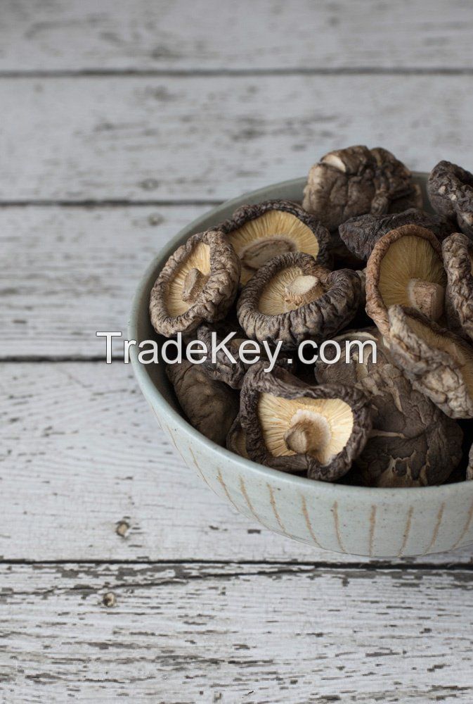 DRIED MUSHROOM STEMS FOR SOUP STOCK AND FOOD PROCESSING