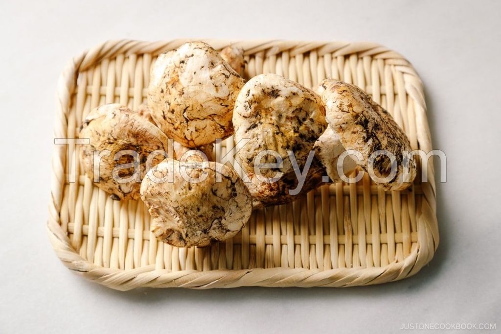 DRIED SHIITAKE MUSHROOM STEMS WHOLESALE SUPPLIER FROM VIETNAM