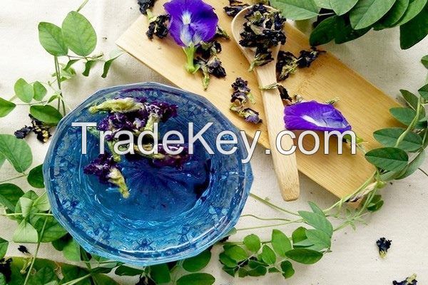 100 PERCENT NATURAL DRIED BUTTERFLY PEA BLOSSOM FOR TEA AND COSMETICS