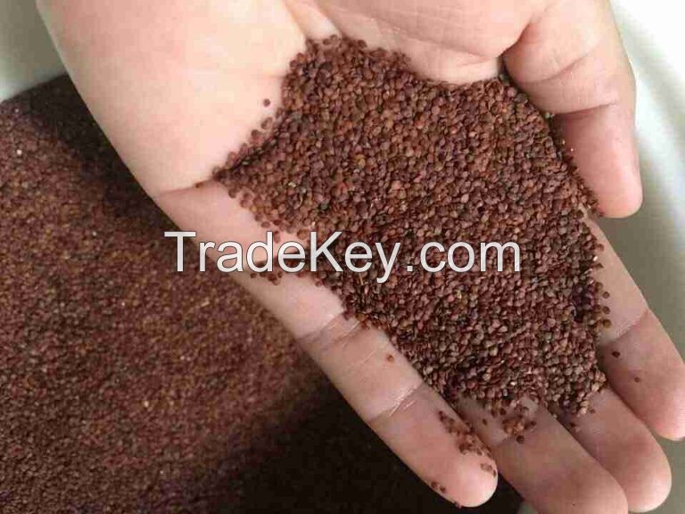 PREMIUM FIVE FLOWER SEEDS NATURAL AND CLEAN