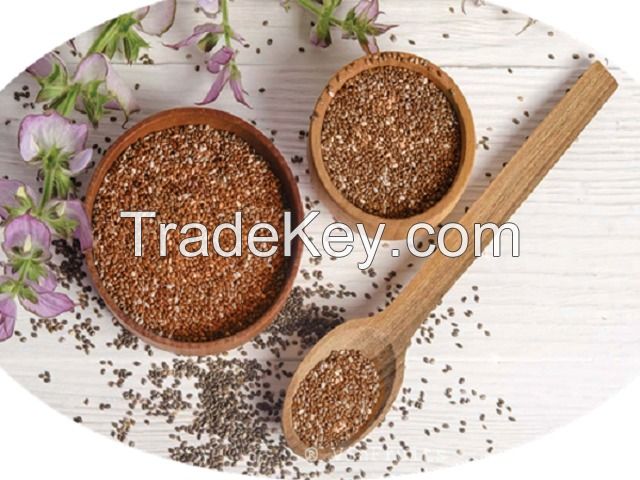 PREMIUM FIVE FLOWER SEEDS NATURAL AND CLEAN