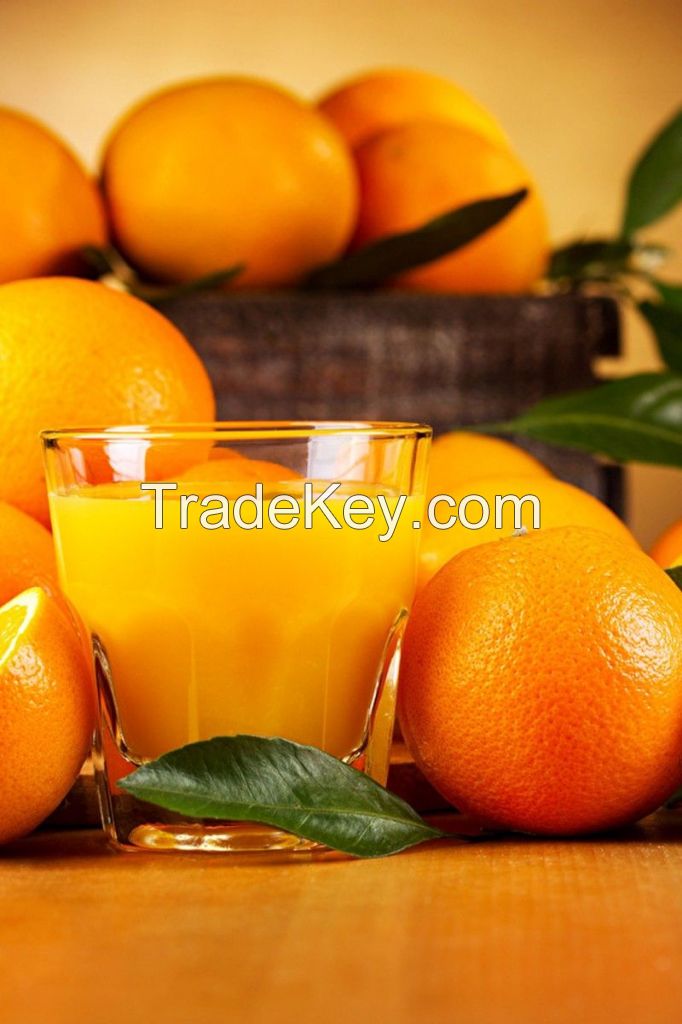 PREMIUM VIETNAM ORANGE JUICE PURE NATURAL CITRUS DRINK WHOLESALE