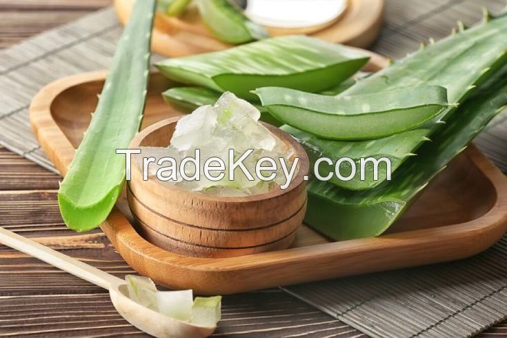 ALL NATURAL FROZEN ALOE VERA WHOLESALE PURE COOLING INGREDIENT FOR BEVERAGE AND BEAUTY INDUSTRIES