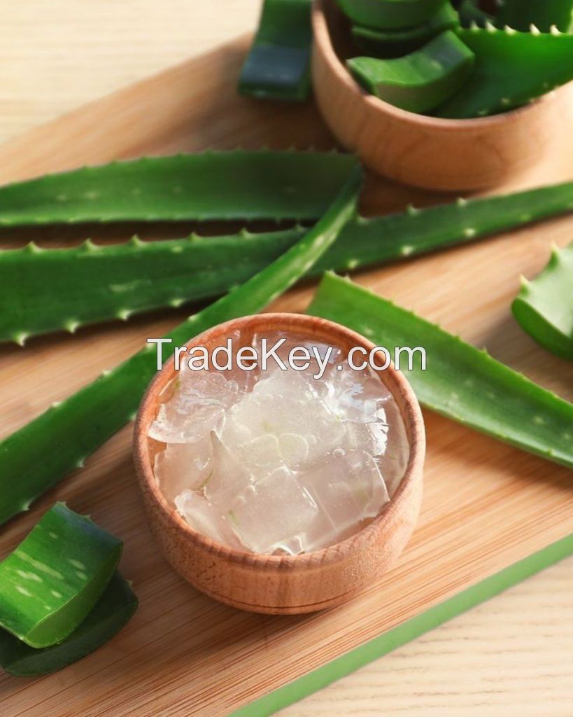PREMIUM ALOE VERA CUBES CLEAN LABEL NATURAL INGREDIENT FOR DRINKS DESSERTS AND SKINCARE PRODUCTS