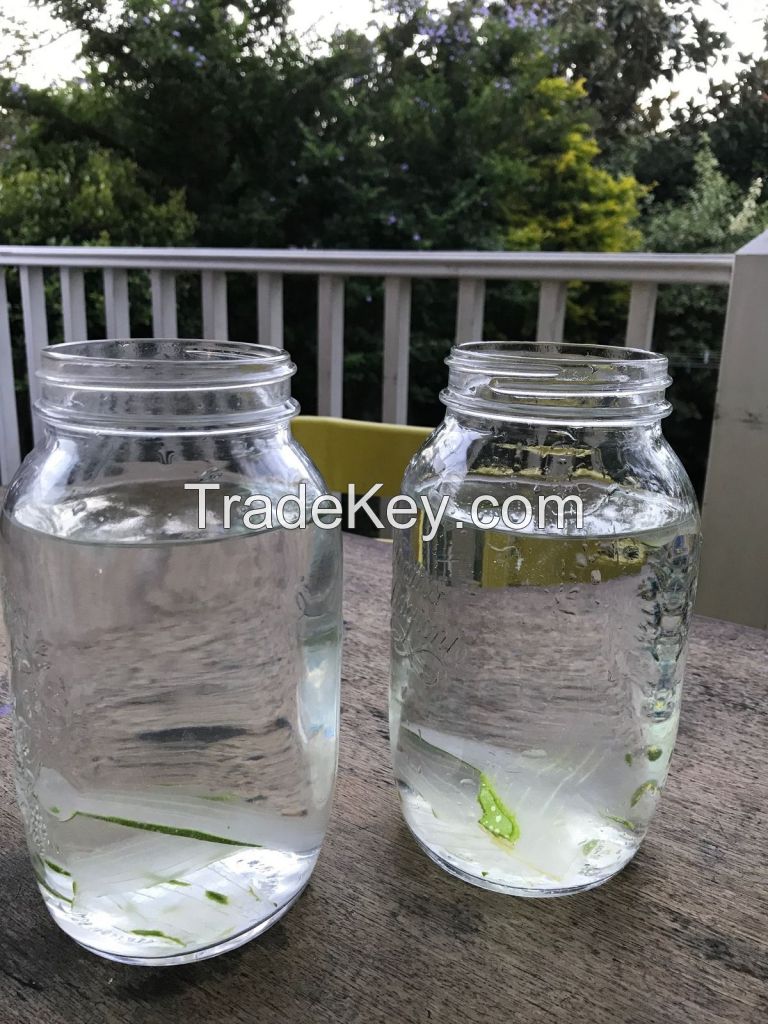 ALL NATURAL ALOE VERA DRINK DELICIOUS COOLING WELLNESS BEVERAGE FOR GLOBAL MARKETS