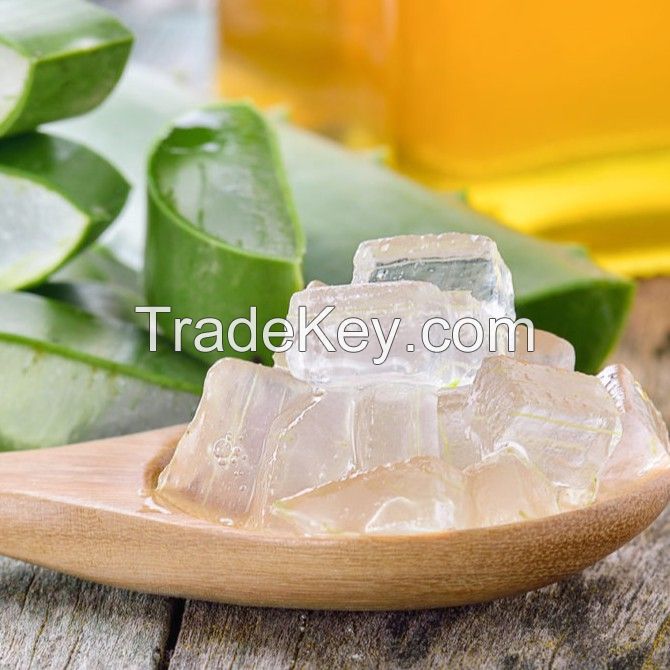 PREMIUM ALOE VERA CUBES CLEAN LABEL NATURAL INGREDIENT FOR DRINKS DESSERTS AND SKINCARE PRODUCTS