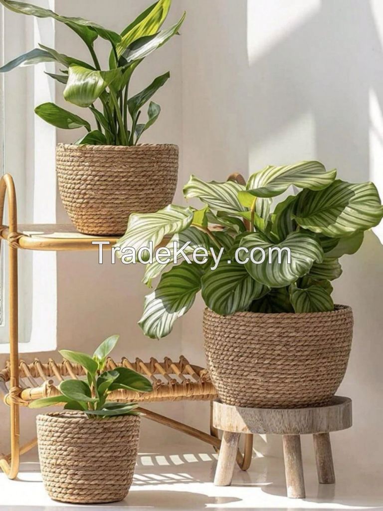 TOP SELLING RATTAN PLANTER FOR INTERIOR DESIGN