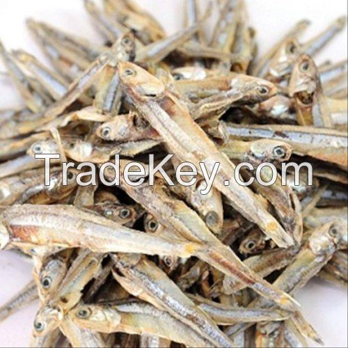 BEST PRICE DRIED ANCHOVY EXPORT STANDARD
