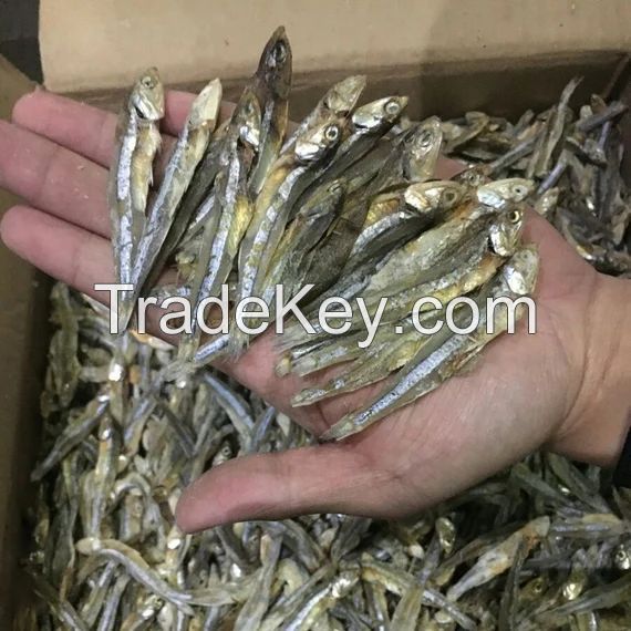 BEST PRICE DRIED ANCHOVY EXPORT STANDARD