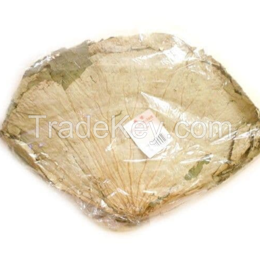 PURE DRIED LOTUS LEAF FOR TRADITIONAL MEDICINAL HERBAL USES