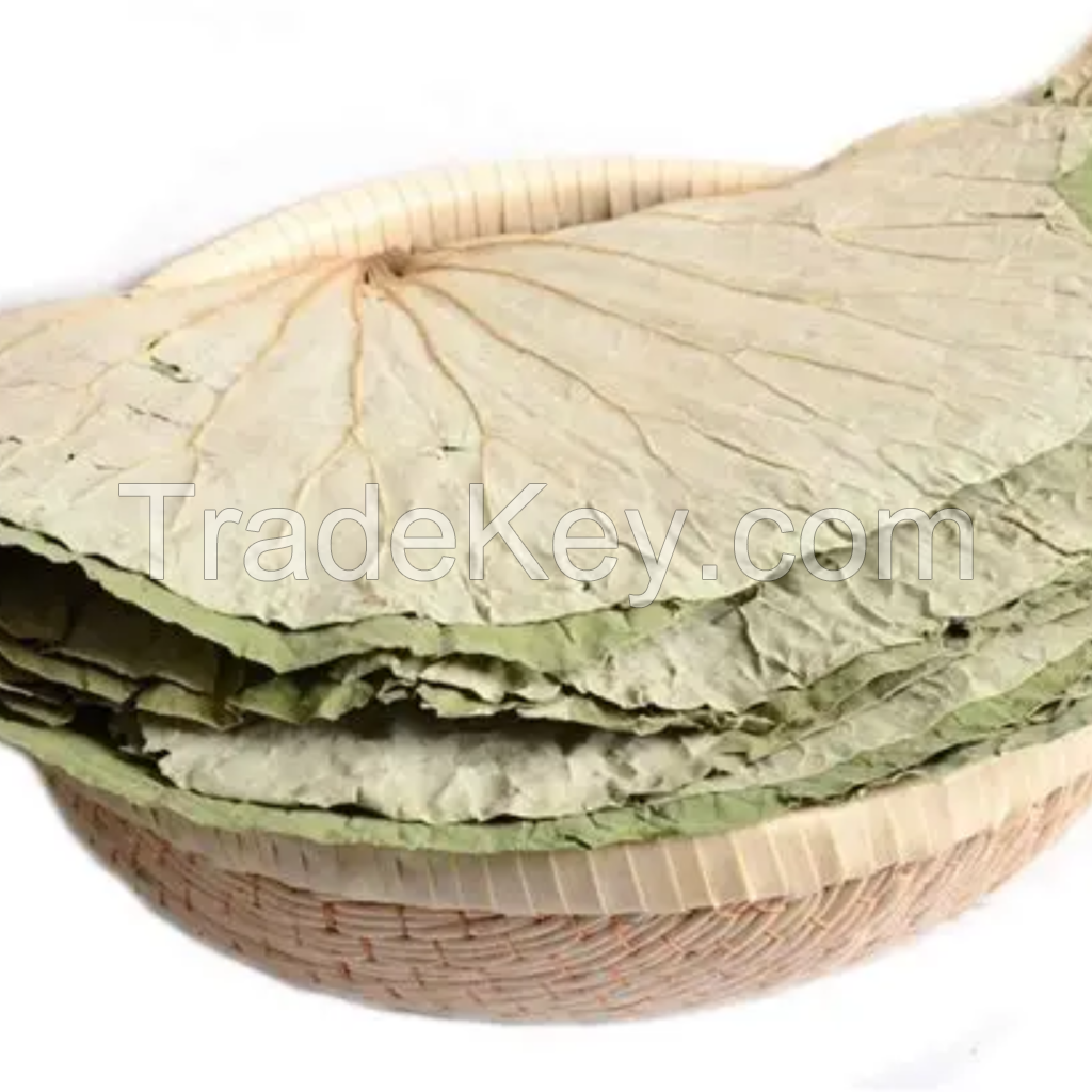 HIGH QUALITY DRIED LOTUS LEAF FOR CLEAN CALMING TEA RECIPES