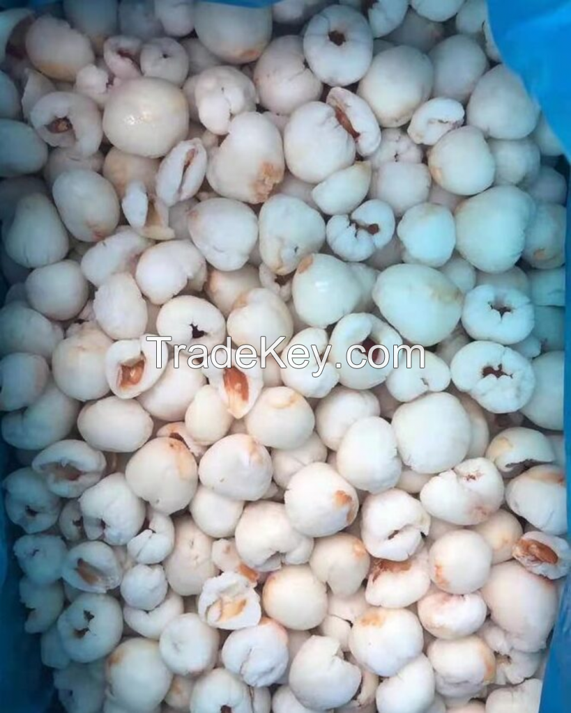 PREMIUM VIETNAMESE LYCHEE FOR EXPORT