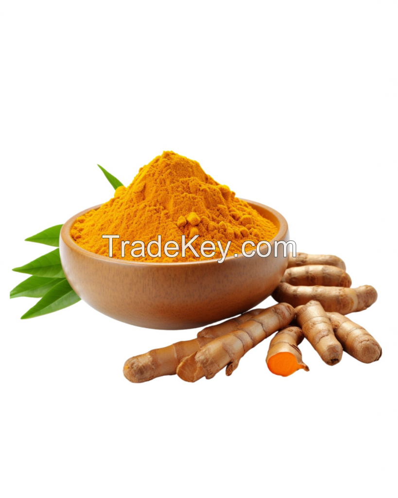 EXPORT QUALITY TURMERIC POWDER FROM VIETNAM BULK OEM ODM