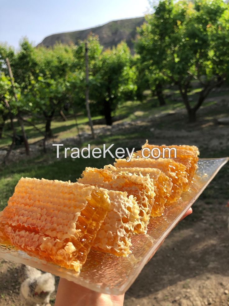 PURE RAW HONEY FOR IMMUNE SUPPORT BEAUTY RECIPES AND HEALTHY SWEETENING