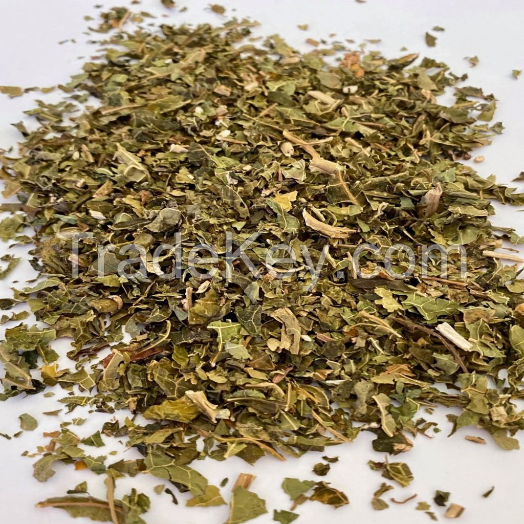 NATURAL DRIED PAPAYA LEAVES FOR CLEAN LABEL HERBAL REMEDIES AND TEA