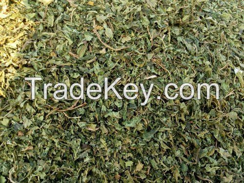 NATURAL DRIED PAPAYA LEAVES FOR CLEAN LABEL HERBAL REMEDIES AND TEA