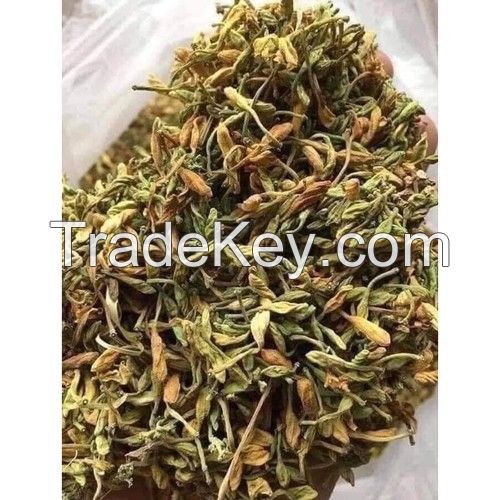 PURE DRIED PAPAYA LEAVES FOR TRADITIONAL MEDICINE AND DAILY WELLNESS