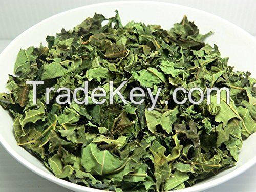 PREMIUM DRIED PAPAYA LEAVES FOR DETOX TEA IMMUNITY AND WELLNESS PRODUCTS