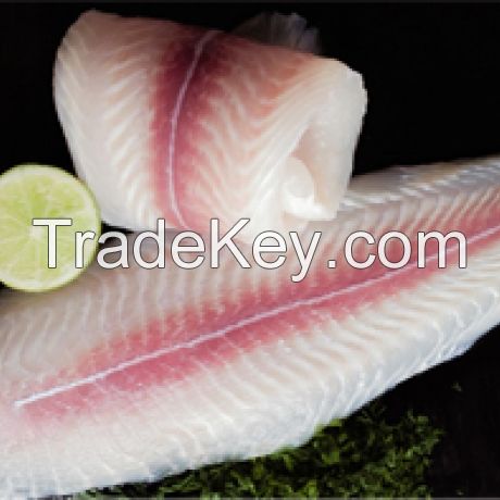 FROZEN PANGASIUS FILLET WELL-TRIMMED HIGH QUALITY FOR EXPORT