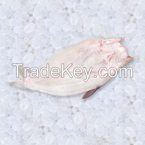 FROZEN PANGASIUS FILLET WELL-TRIMMED HIGH QUALITY FOR EXPORT
