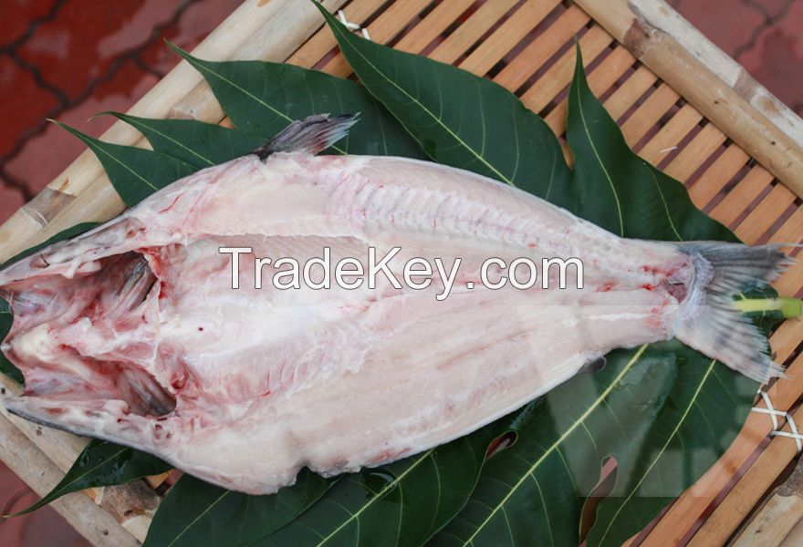 FROZEN PANGASIUS FILLET WELL-TRIMMED HIGH QUALITY FOR EXPORT