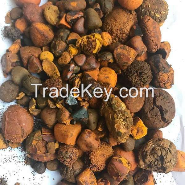 Grade AA Ox Gallstones | Cattle Gallstones | Cow Gallstones For Sale