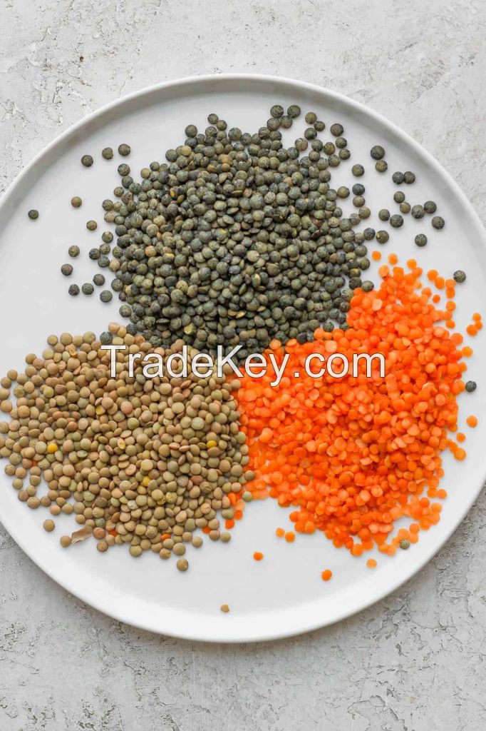 Red, Brown, Green split and whole lentils