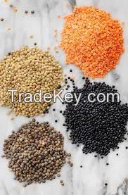 Red, Brown, Green split and whole lentils