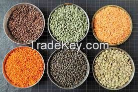 Red, Brown, Green split and whole lentils