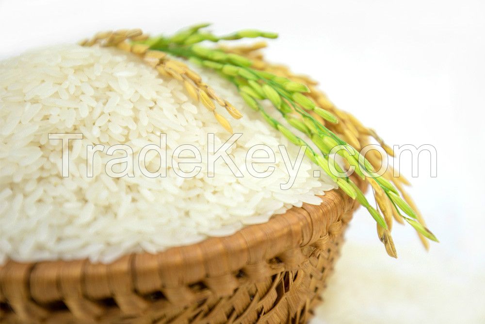 Jasmine Rice From Vietnam With High Quality