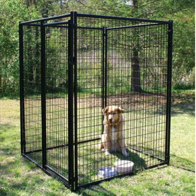 dog kennel dog cage