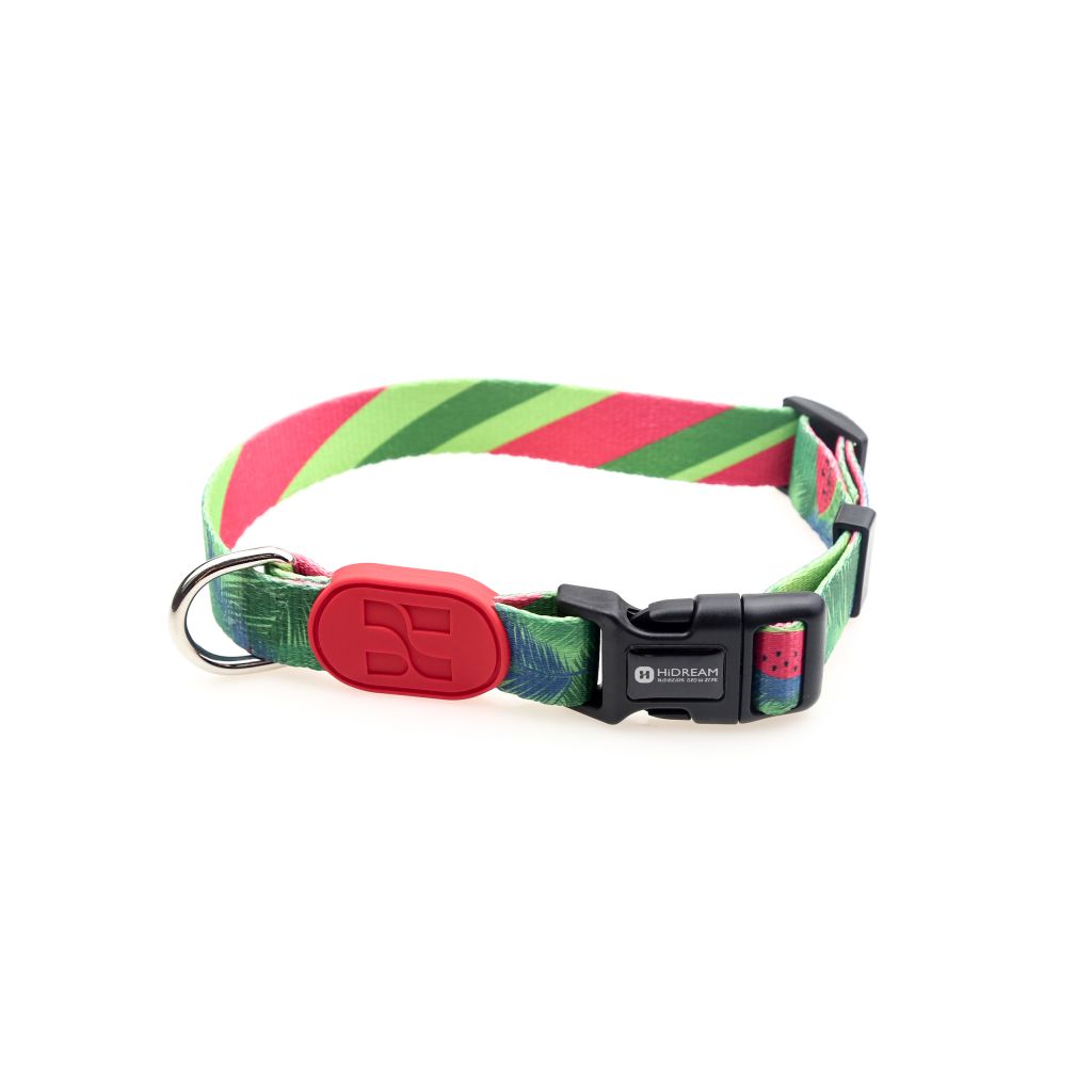 HiDREAM PROFUSION DOG COLLAR fashion dog collar for walking