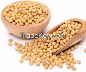 Soybean