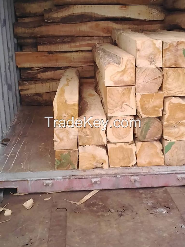 TIMBER LOGS - AZOBE, TALI, PACHY, OKOUME, IROKO, EBONY