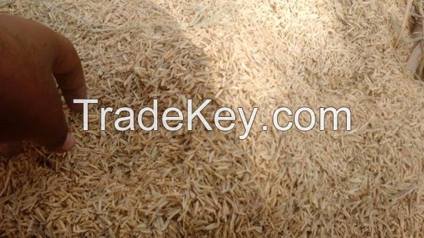 Rice Husk (High grade from Pakistan)