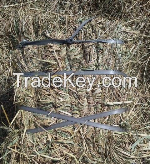 Rice Straw (High grade from Pakistan)