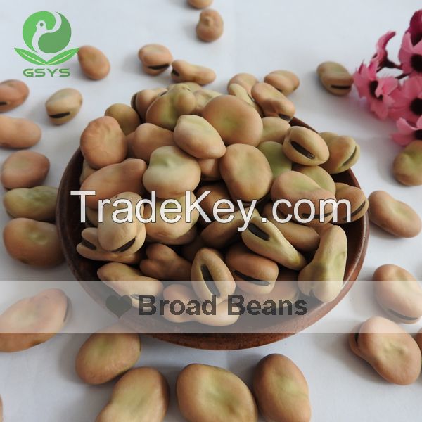 broad beans