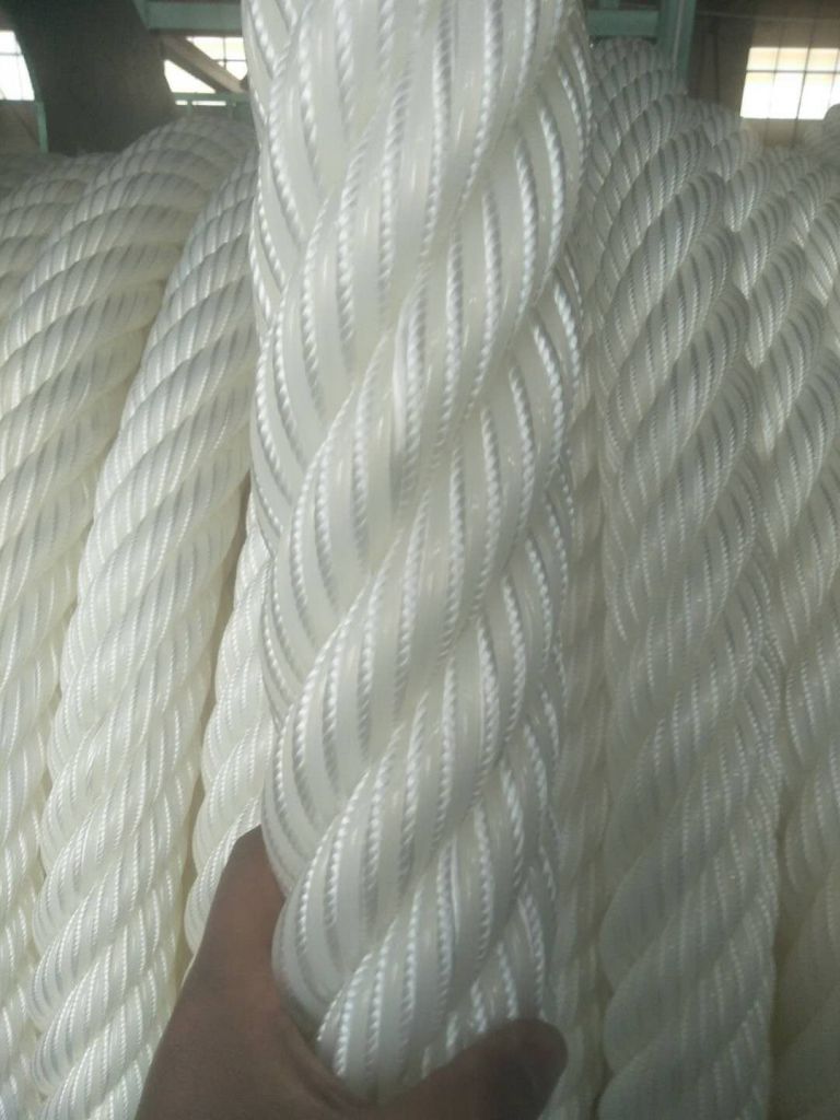 Mooring lines 