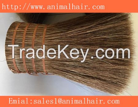 high quality horse root tail hair  for writing brush  In China