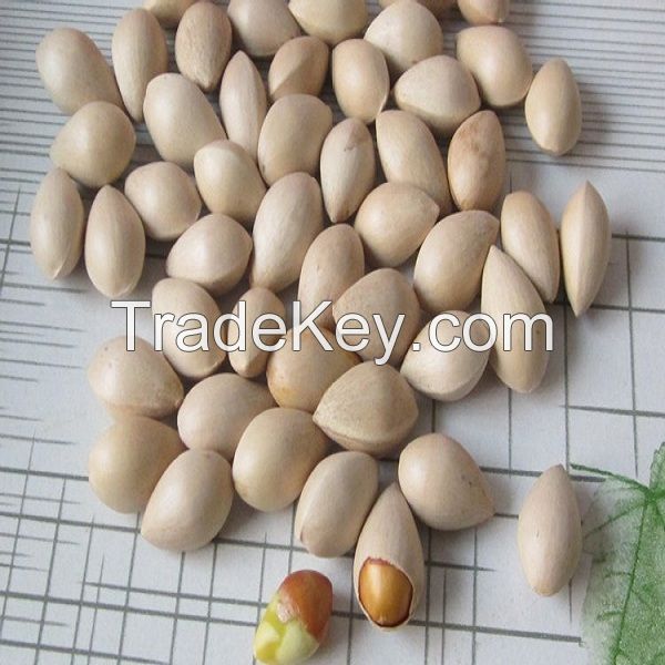 Wholesale Ginkgo Nuts ,Peeled Ginkgo Nuts,Raw Ginkgo Nuts 