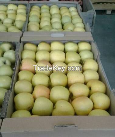 Fresh Apples from Ukraine Fuji, Gala, Champion, Ligol, Golden, Florin