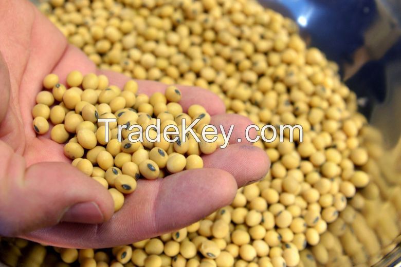 Soybeans