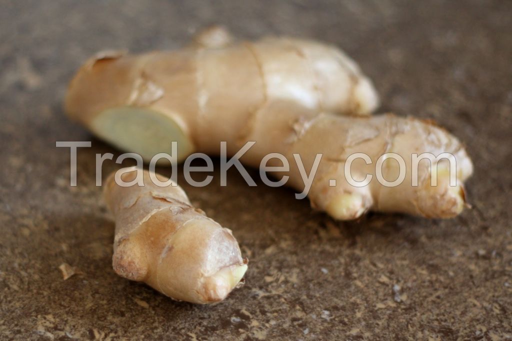 Fresh Ginger Grade A