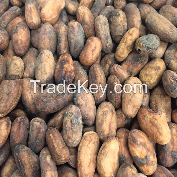 Cocoa Beans